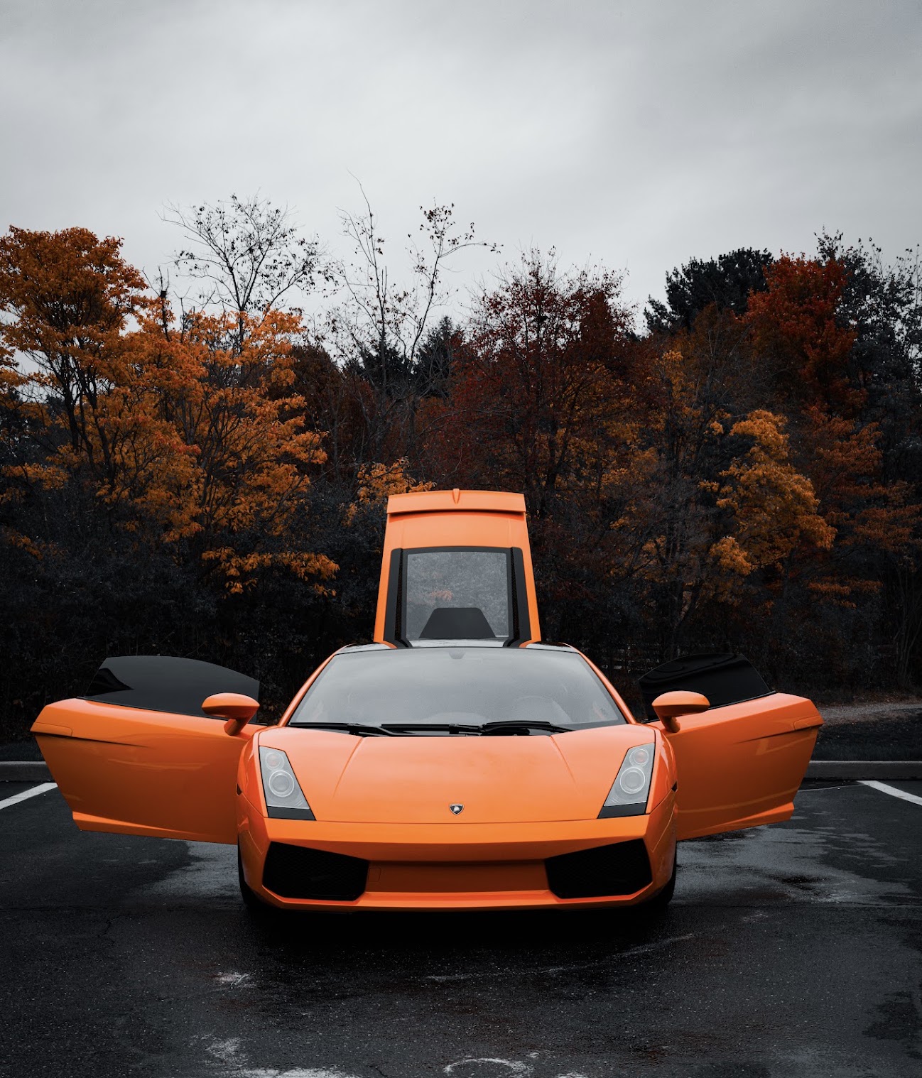 Lamborghini Gallardo with doors up in autumn setting, detailed by Elevare Lux Detailing